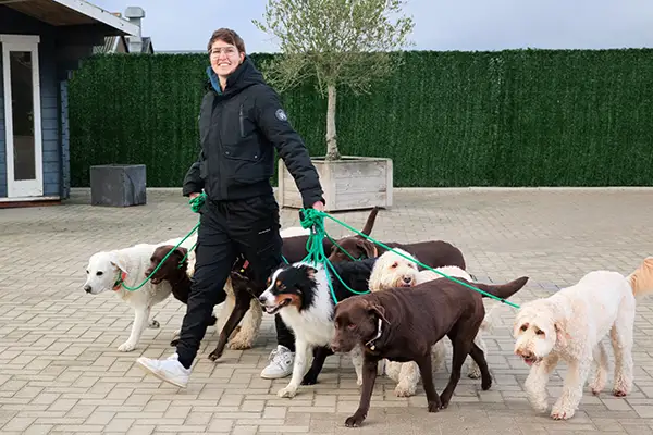 Ik ben Seph van Rossum, hondengedragsdeskundige bij Hondenconsulent Gelderland