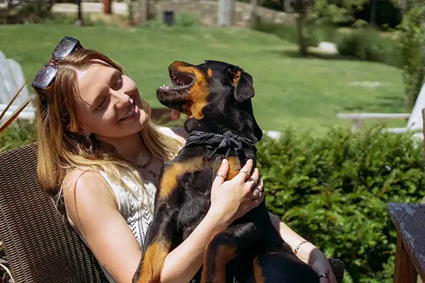 Goede verbinding en samenwerking met je hond Hondenconsulent Gelderland