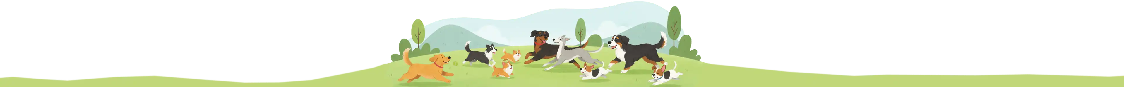 Hondenconsulent Gelderland